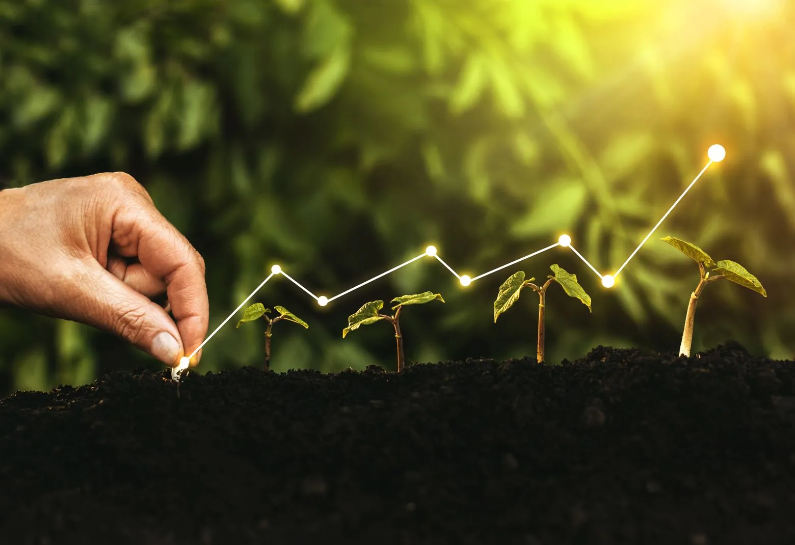 Hand planting seedlings in soil with a glowing line graph overlay, symbolizing growth and progress against a blurred green background.