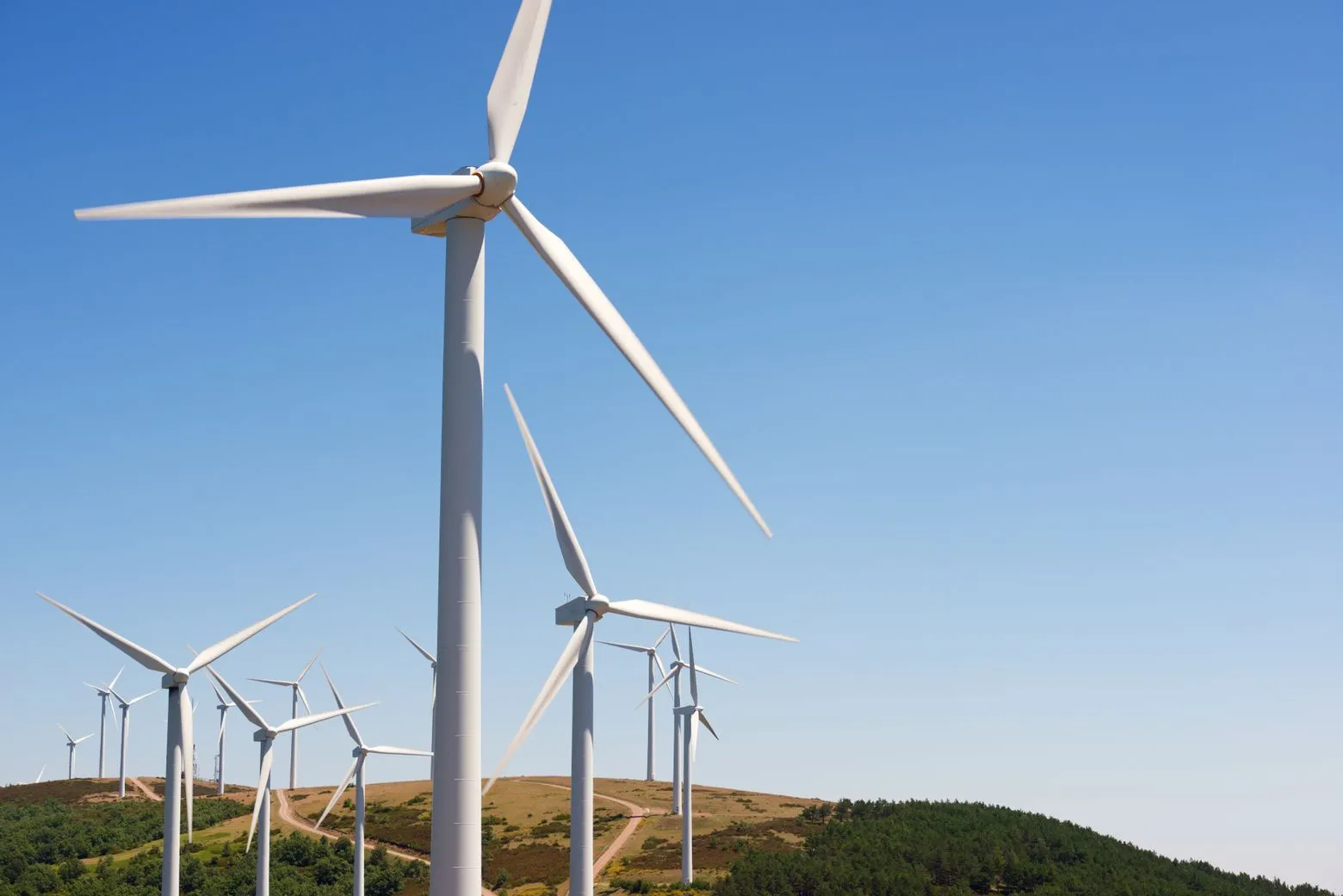 Wind turbines on a grassy hill under a clear blue sky, generating renewable energy.