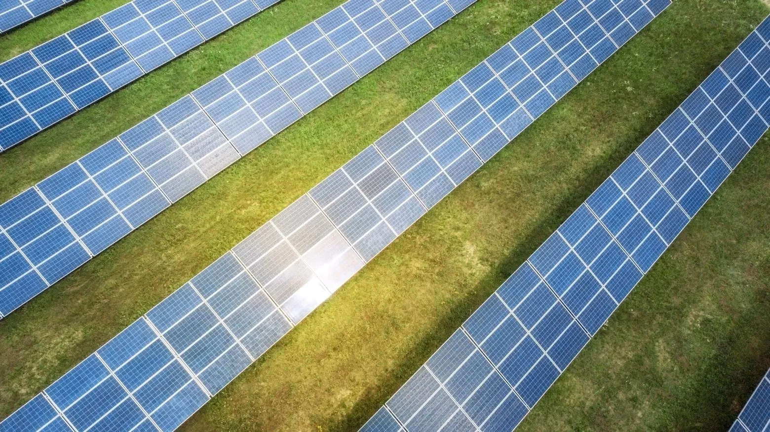 Aerial view of rows of solar panels on a grassy field, reflecting sunlight.