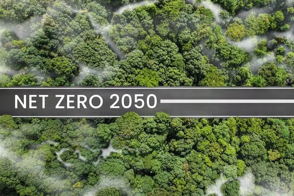 net zero 2050