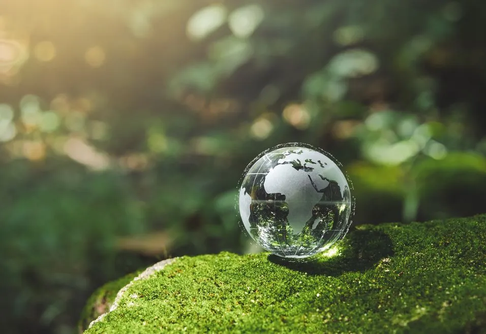 A clear glass globe rests on vibrant green moss in a sunlit forest, symbolizing environmental conservation and global harmony.