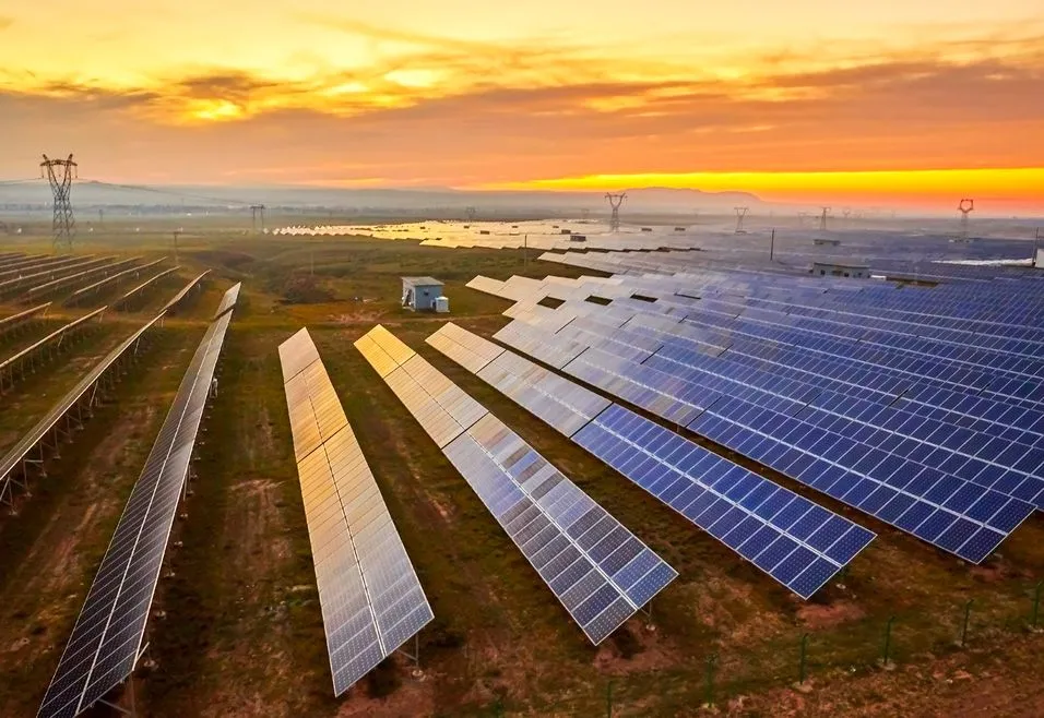 Expansive solar panel farm at sunset, with rows of panels absorbing sunlight, under a colorful sky.