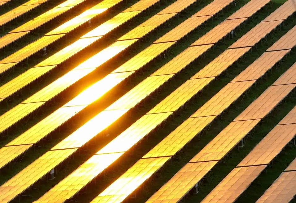 Rows of solar panels reflecting sunlight, creating a golden glow, arranged diagonally across a green field.